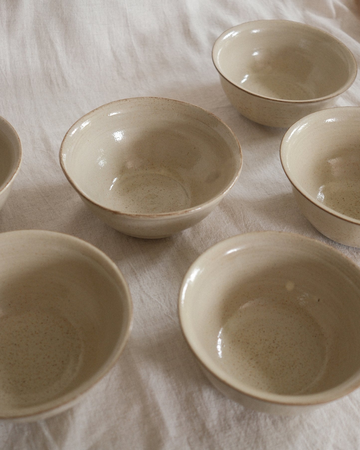 Shiny Oatmeal Cereal Bowl