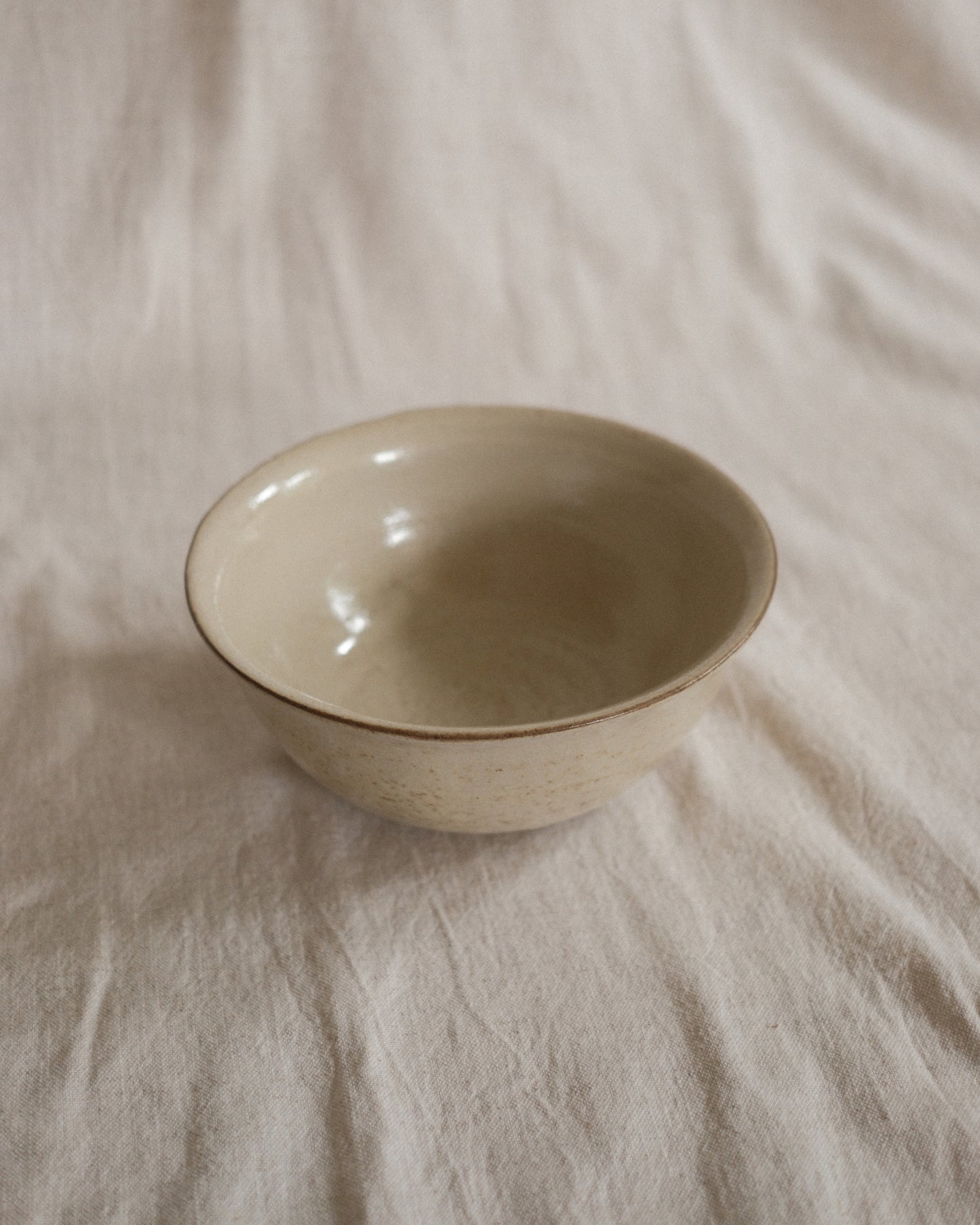 Shiny Oatmeal Cereal Bowl