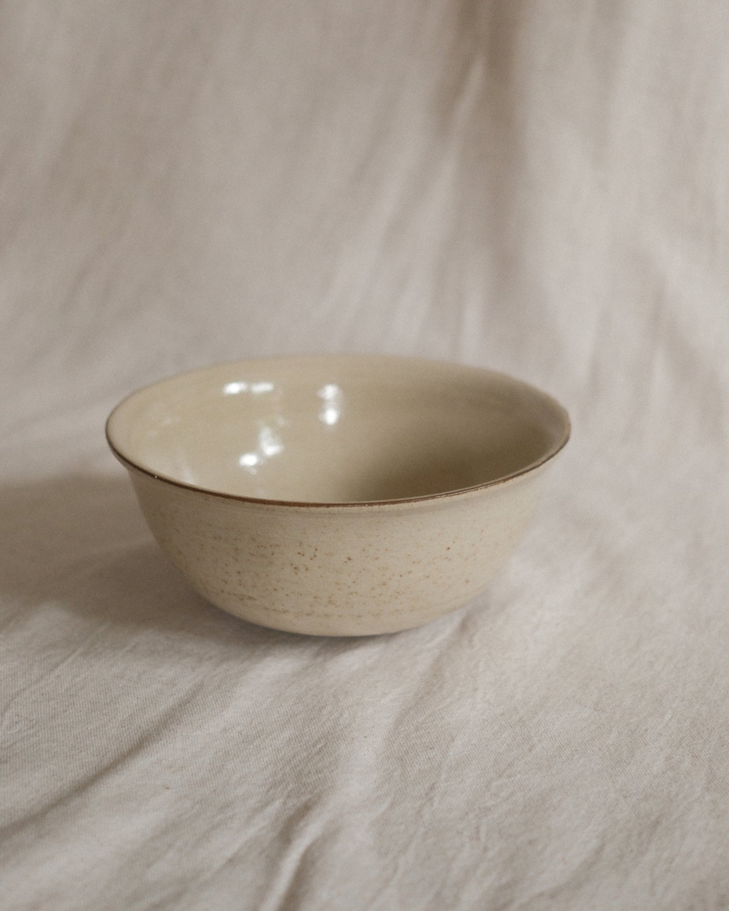 Shiny Oatmeal Cereal Bowl