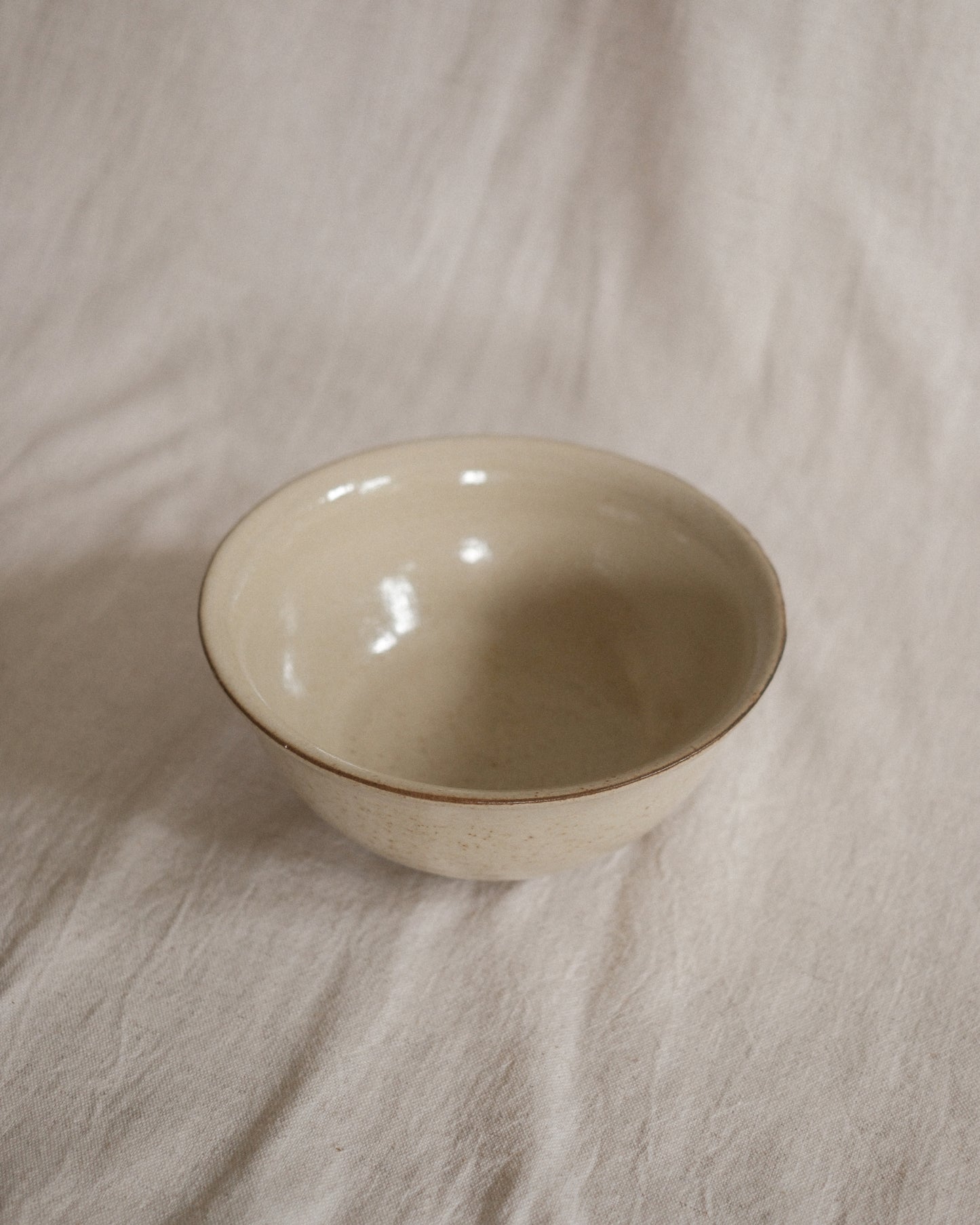 Shiny Oatmeal Cereal Bowl