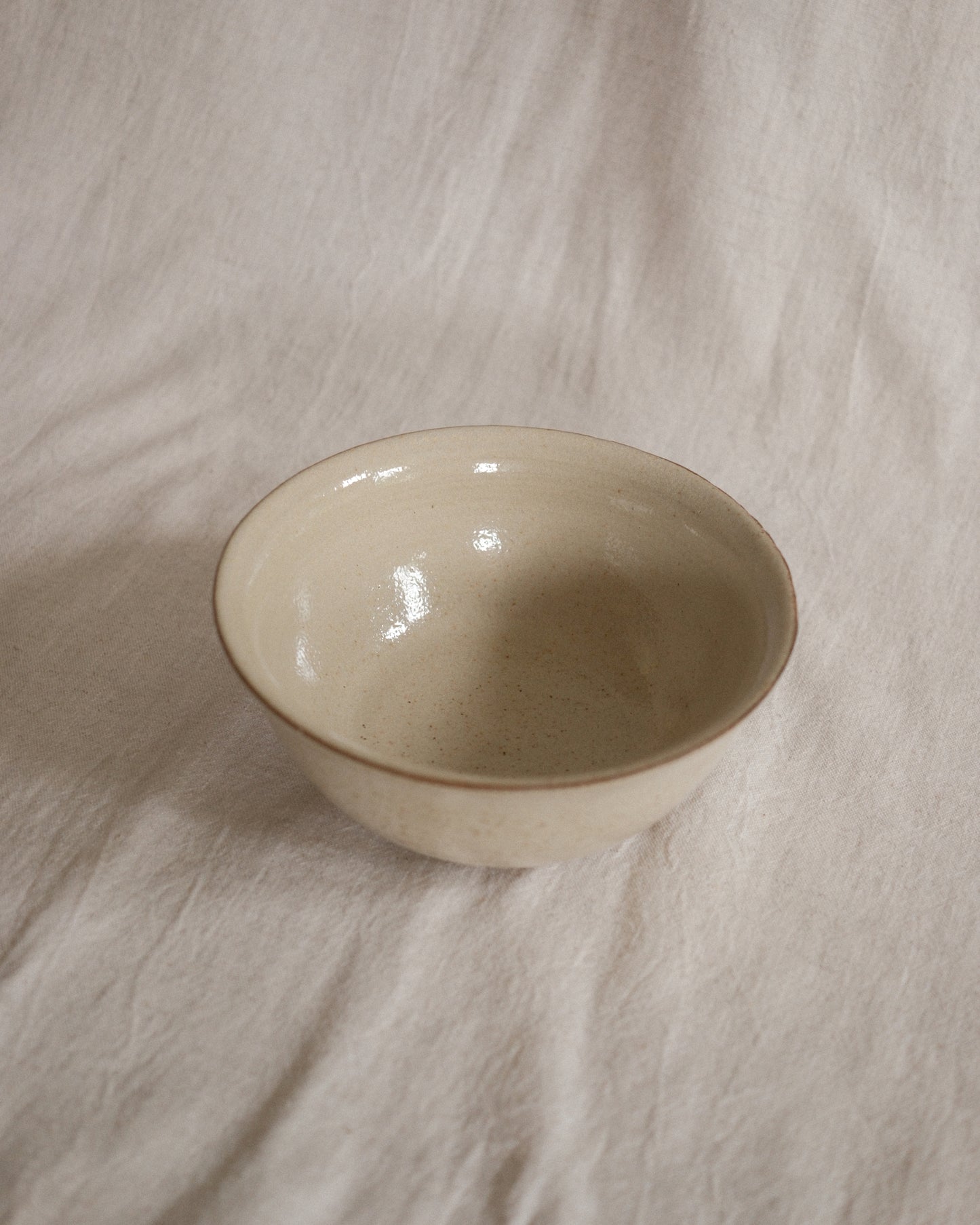 Shiny Oatmeal Cereal Bowl
