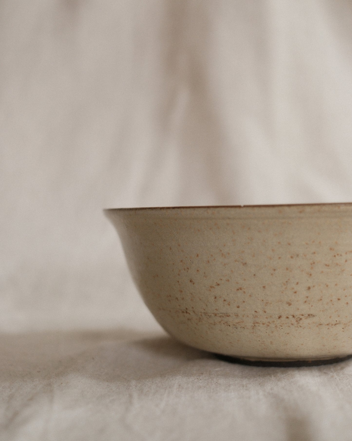 Shiny Oatmeal Cereal Bowl