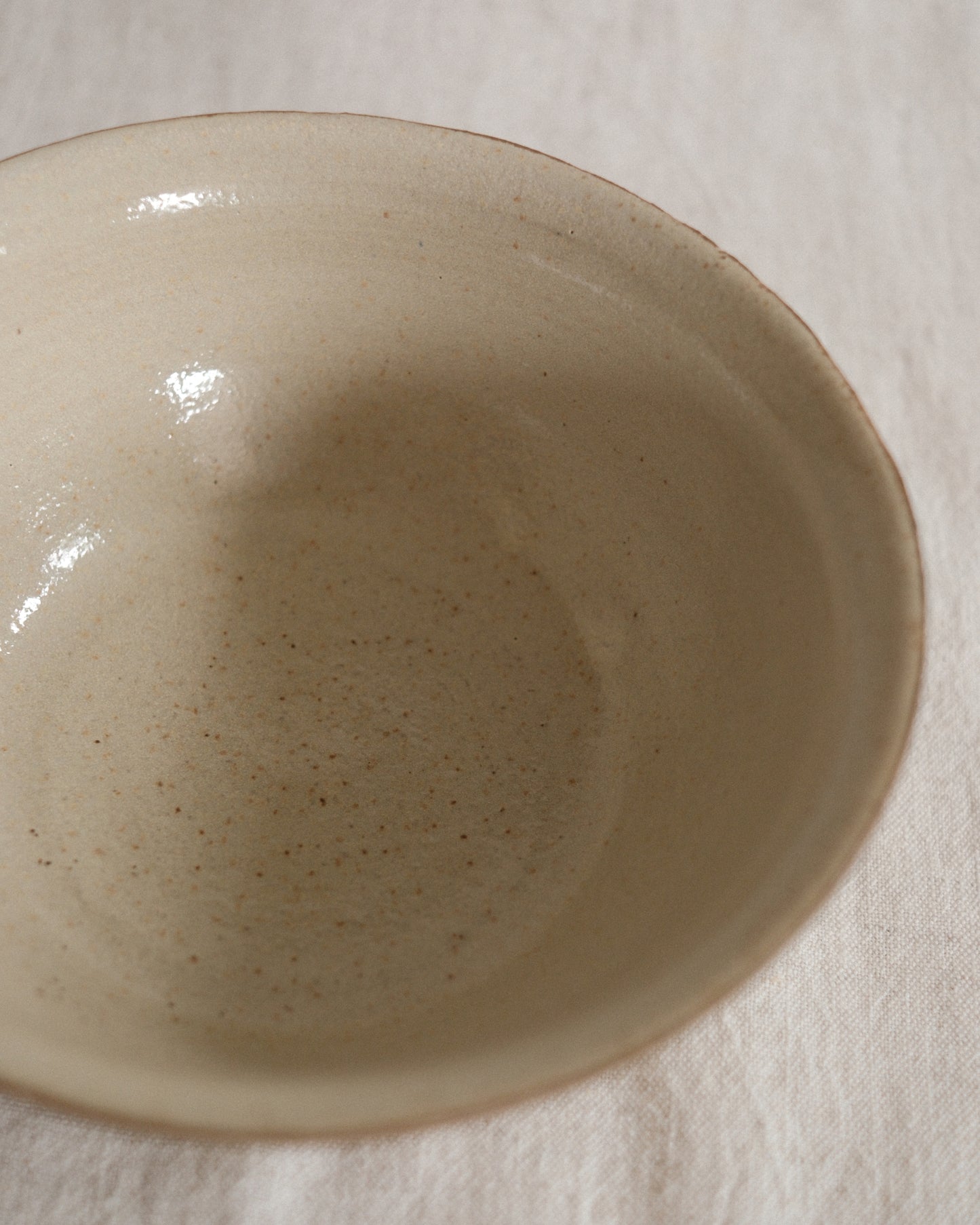Shiny Oatmeal Cereal Bowl